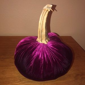 Hot Skwash 9" velvet pumpkin